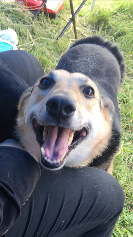 5B59E9C3-2FD9-449F-89C5-9D8AFCCBB0B8