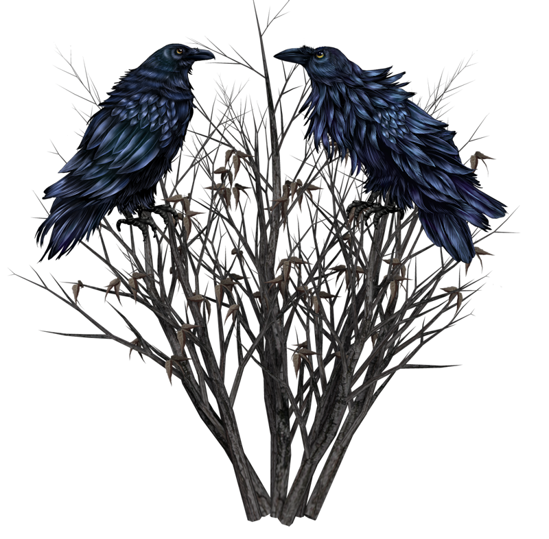 IPD_WP_Element (152)