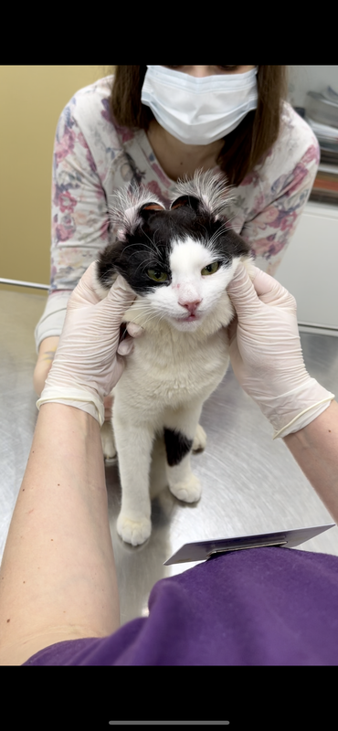 3A94EE3F-DFCE-4A9B-ABBA-3308AE09B86B