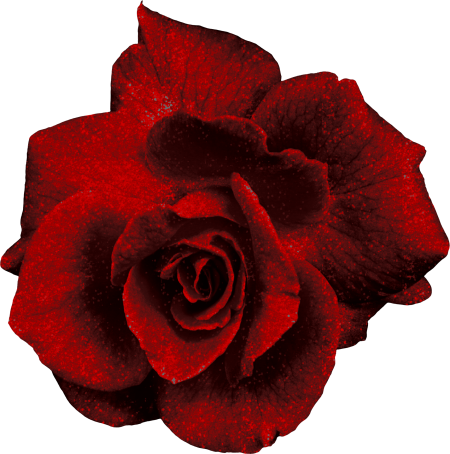 the touch of red, black and gold (99)