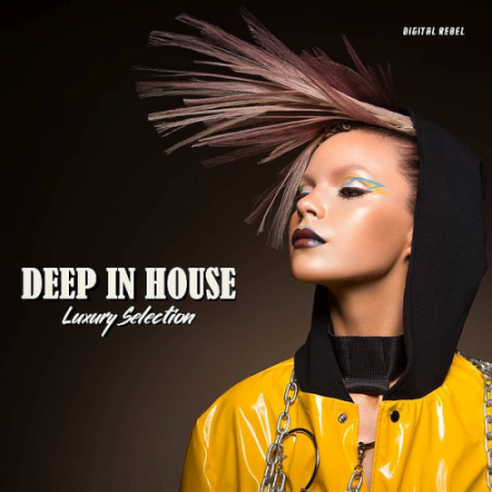 VA - Deep In House (Luxury Selection) (2020)