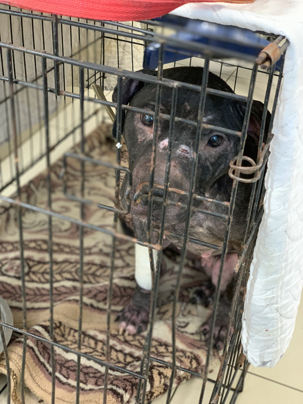 0D54B2EB-7CFA-4820-8B4D-CBF9C58C6C4A