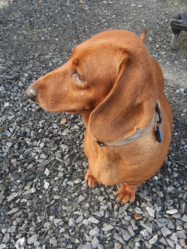 [Image: 20221021-104315.jpg]