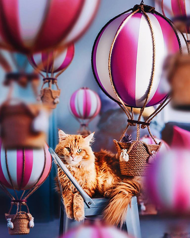 ���� ���� ������ �� ���� ������