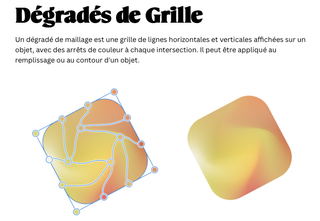 Capture d écran 2026 02 20 à 15 00 57