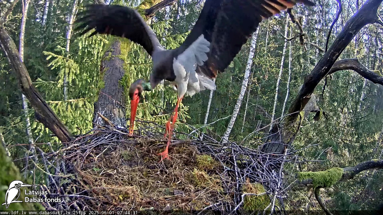 vlcsnap-2025-05-01-07h03m13s086