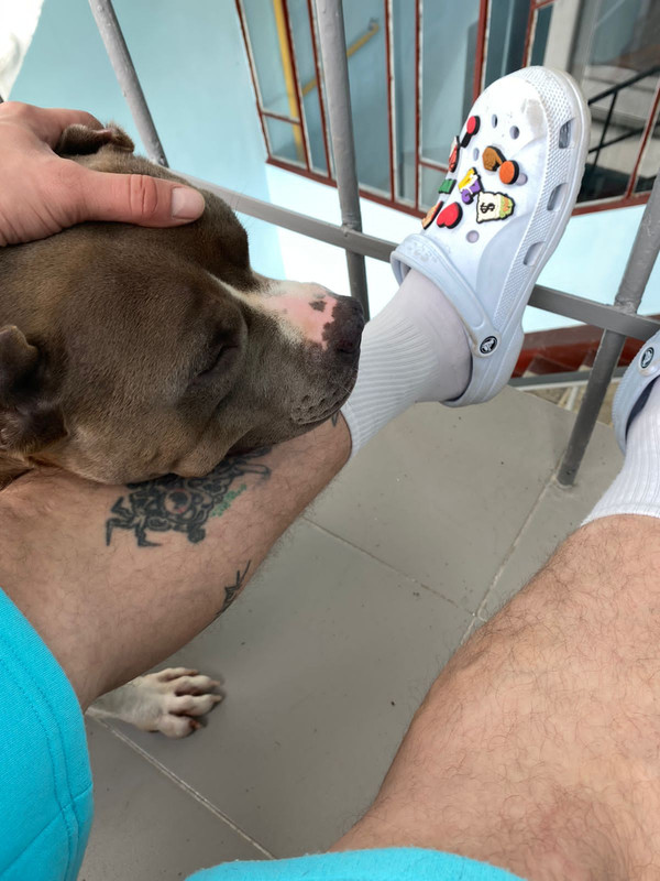 AE8C9E4D-A803-4F17-A6FC-CECD74BF83EB