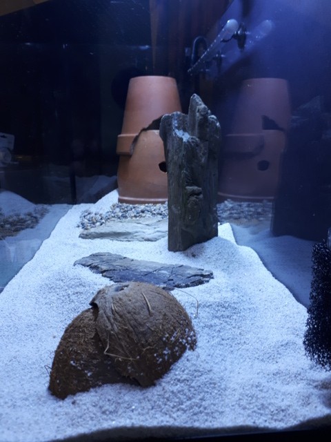 20190721_213737 (FILEminimizer)