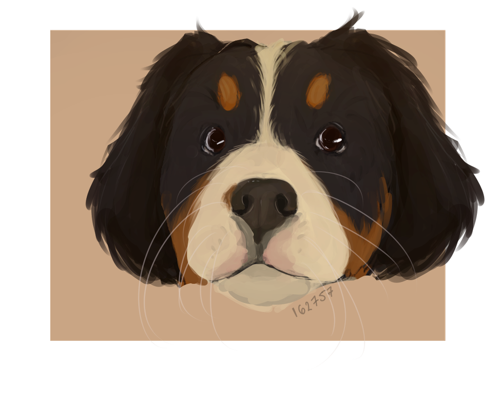 pup-practice.png