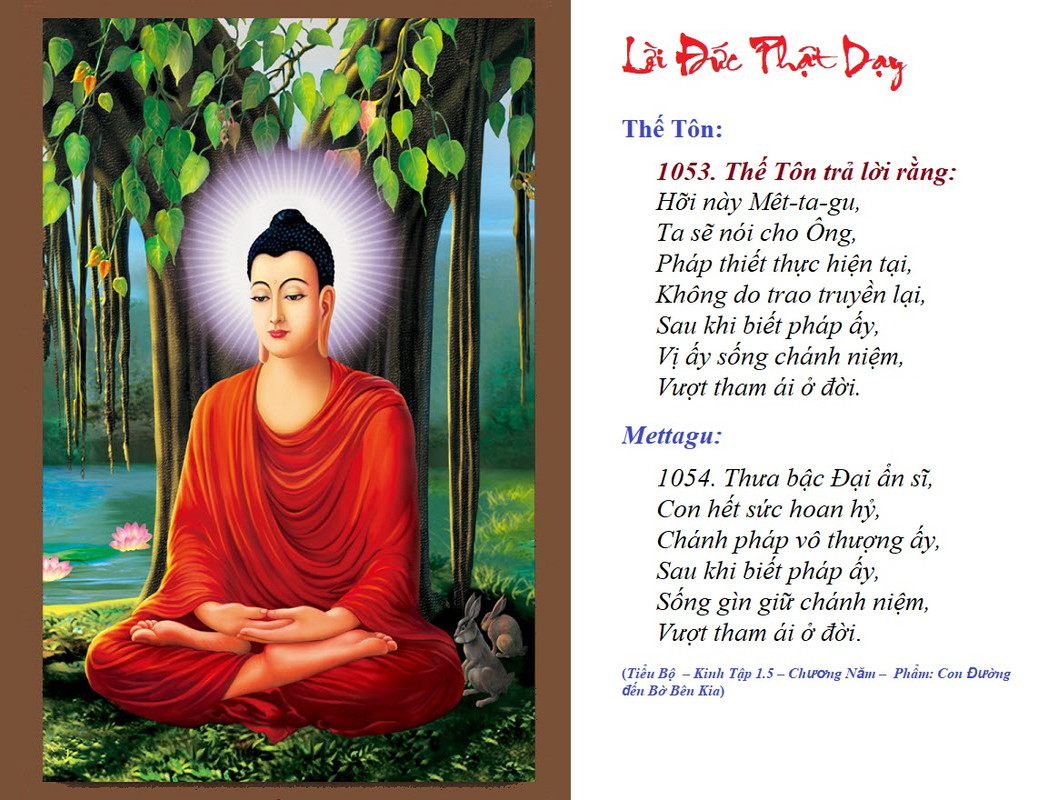 8 Đức_Phật - KTB 3