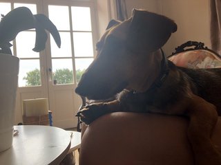 [Image: B33-B5102-8-A42-4560-B593-8-FC7-E068986-D.jpg]