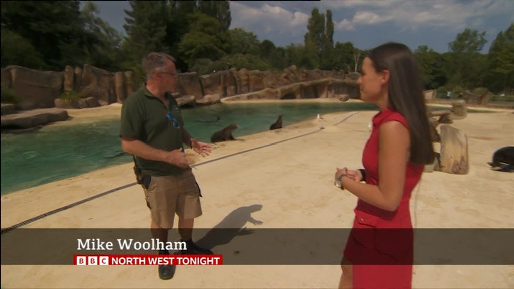 07.18 - 18.30.00 - North West Tonight. The latest news, sport and wea....ts_snapshot_22.51.784
