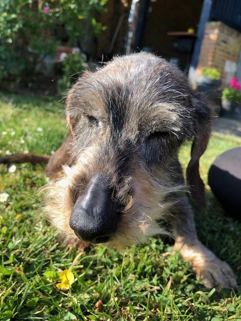 [Image: IMG-6495.jpg]