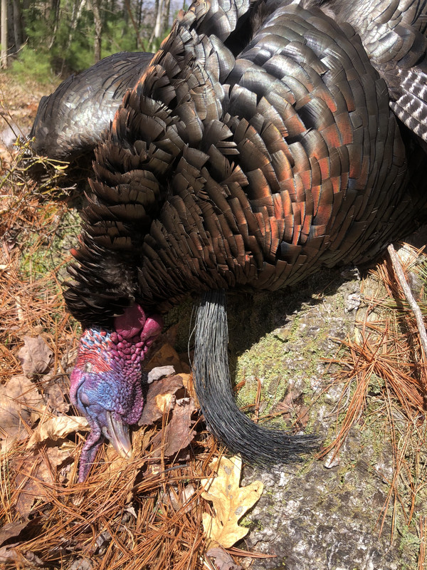 17938990-E820-4575-9595-8B1C15BFF6A3