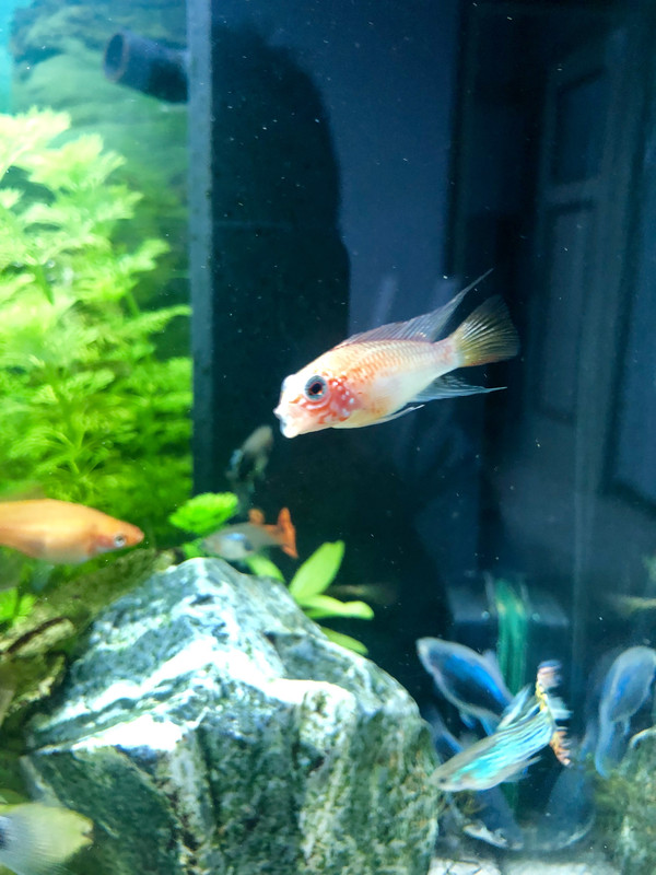 2225983D-AC03-4AD0-AA39-657AE2A21C59