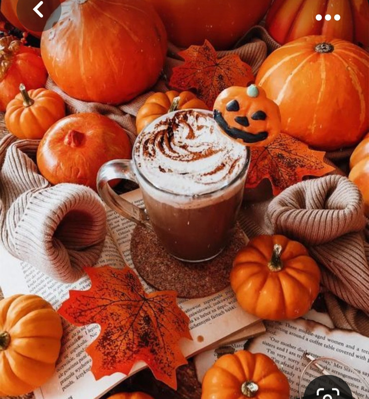 Screenshot_20231031_172604_Pinterest