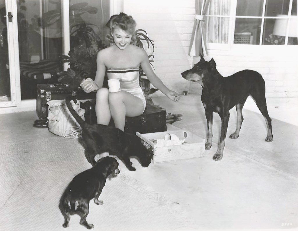 vera-ellen_97