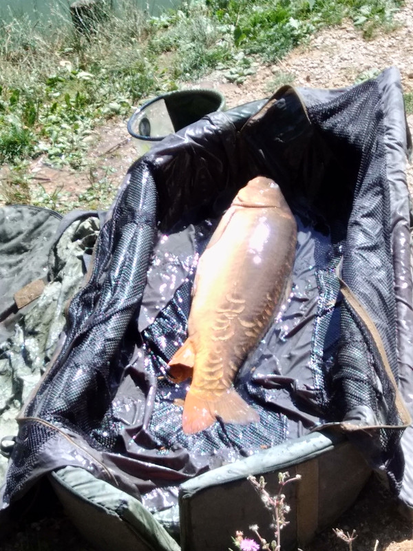 [Image: IMG-20220812-111921.jpg]