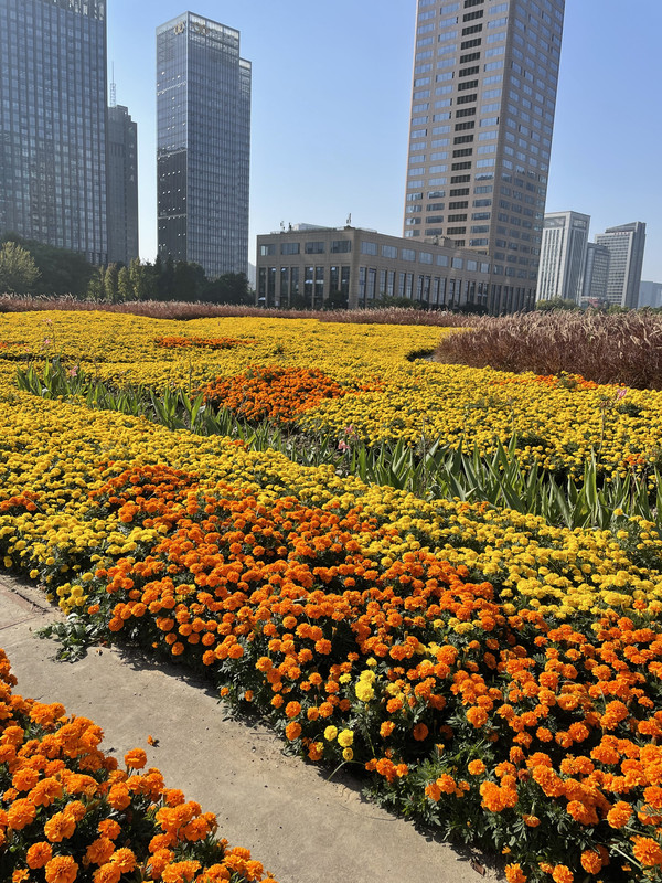 2F78722E-D021-4FB2-AD24-F94BA1A449C1