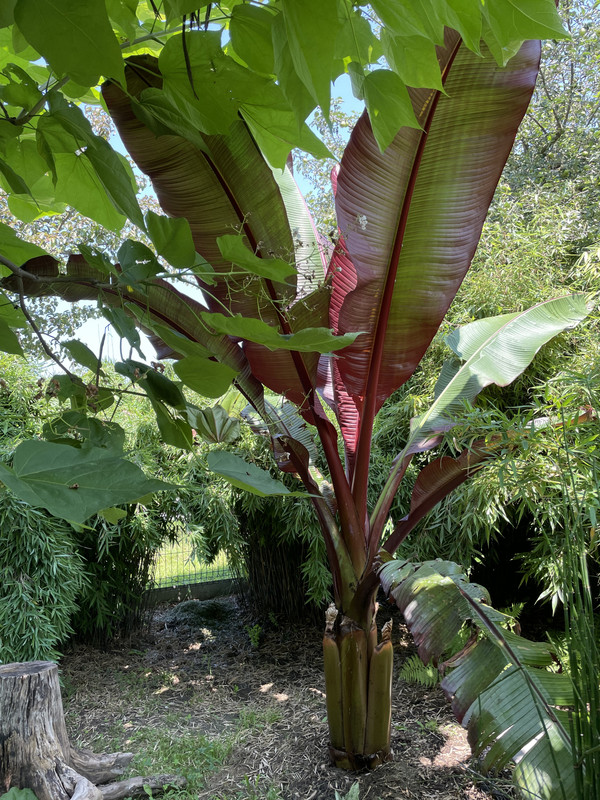 CAB1AC97-23AE-4BEA-925D-6F07DAA26D55