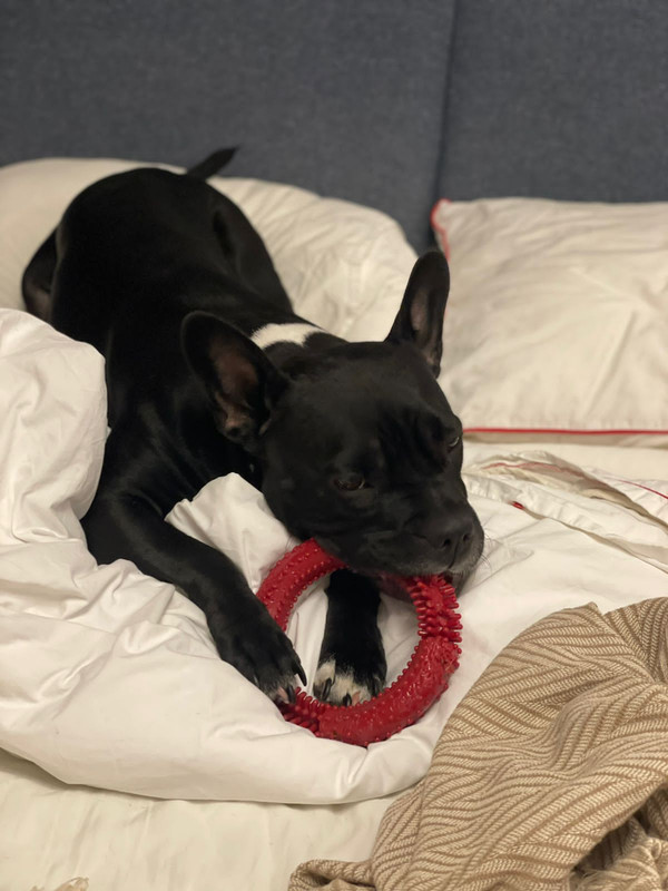 BD23EC5B-470A-429B-9D7F-0EB3895896B9