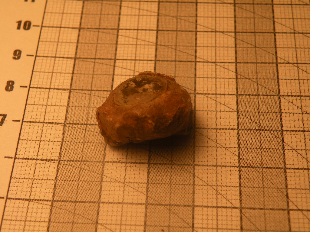 DSCN2364