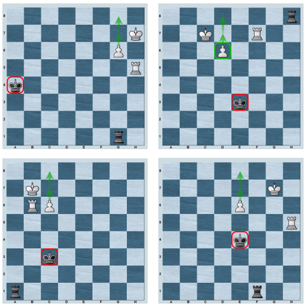 till on X: Endgame pawn structure in Ruy Lopez exchange variation games.  White should pass a pawn 🙈 and win #chessendgame #theory   / X