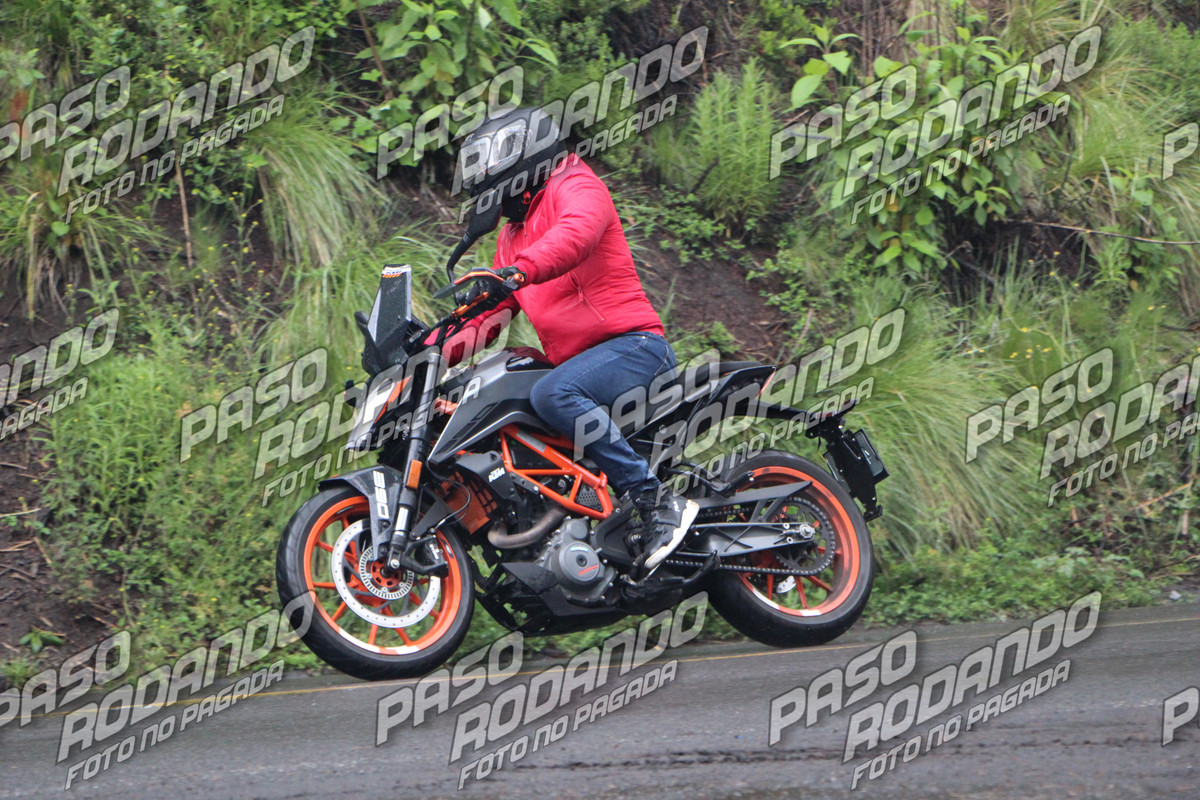 IMG 6136 wm 704171 7999999989 watermarked — Postimages
