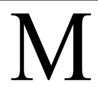 icon M