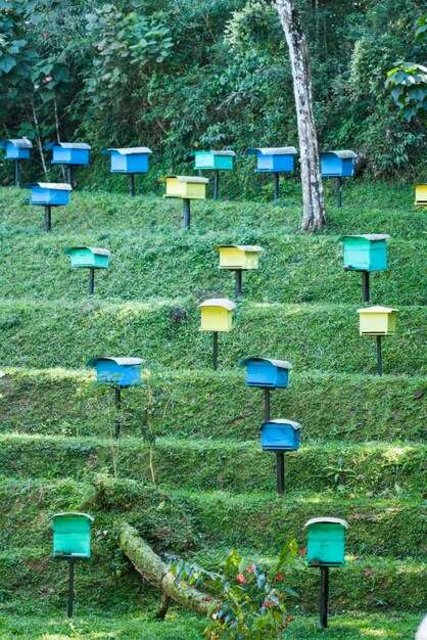 Определение функциональных зон на участке