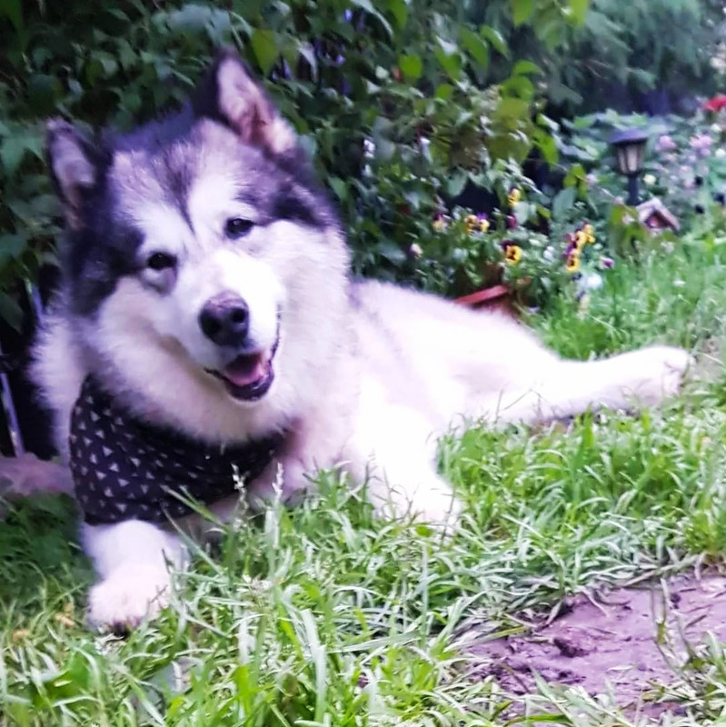 CA4CD098-2EF1-4608-B835-16651BC44B7C