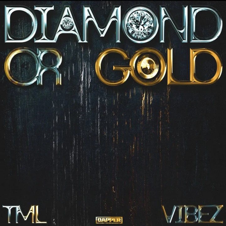 TML VIBEZ - DIAMOND OR GOLD Official Audio 2026