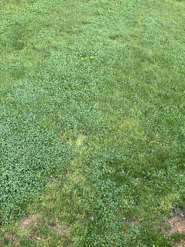 1FBF1D7C-0D2A-4E7B-8CB5-E9A2741B111F