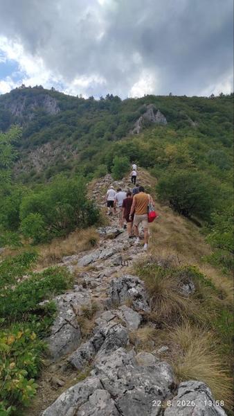 Slika