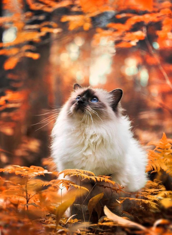 1fa304f5719532af55aaa45eac54a833