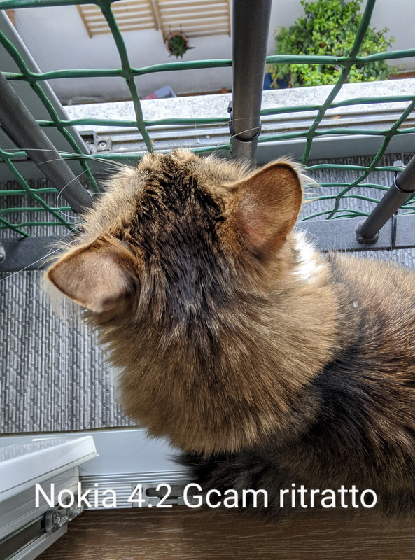 00000IMG_00000_BURST20200503202347973_COVER~2_resize