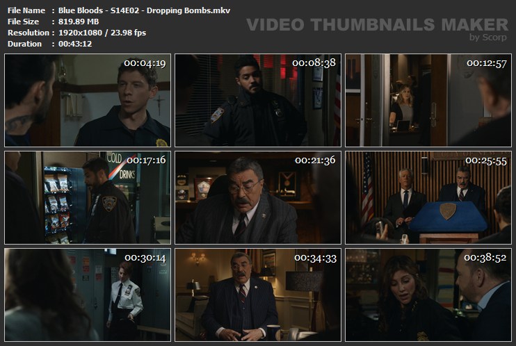 Blue Bloods - S14E02 - Dropping Bombs.mkv
