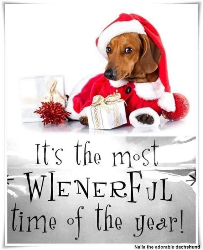 [Image: b97bfe50828a90b9db18b4cc0a5a3345.jpg]