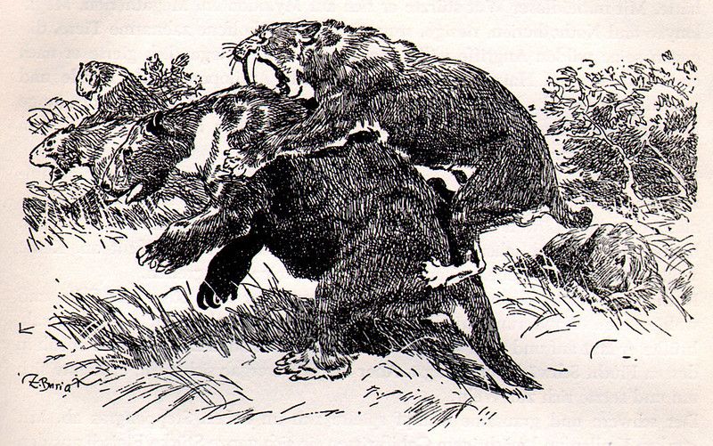 ff62061017e2d69c77851566a208b411