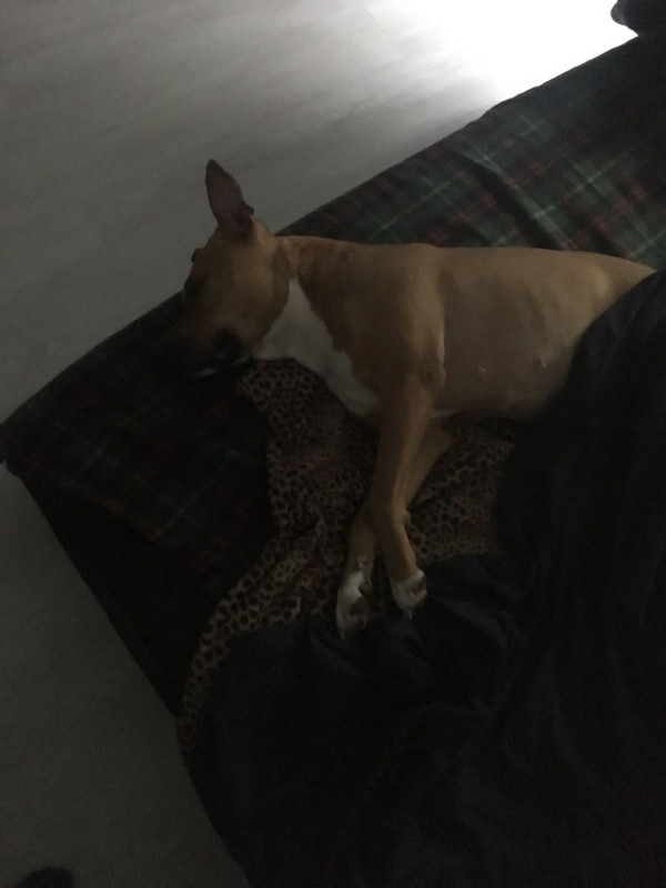 7B297AF4-E55D-49CF-AEEE-968932854B23