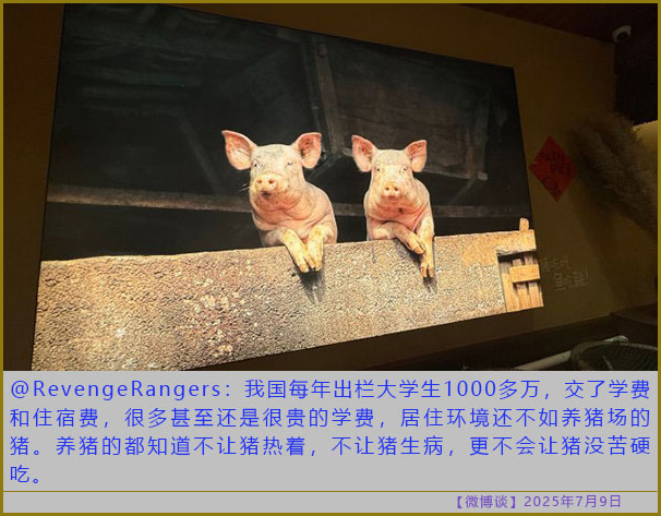https://i.postimg.cc/yx7WSdTG/20250709-bt-8.jpg