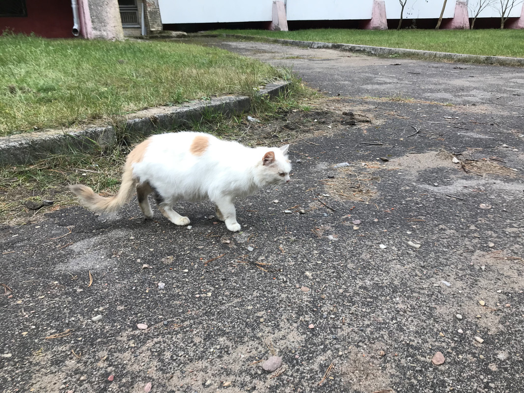 84B2E24C-51A6-419B-BB60-F1923004A834