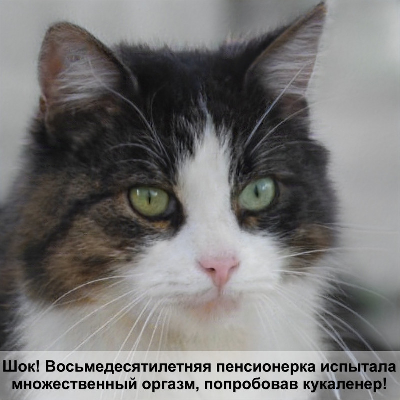 капли от глистов для кошек