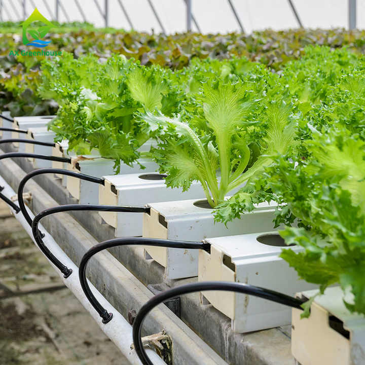 Hb9061005cf5445d3be5e38317ea3b539m.jpg_720x720q50