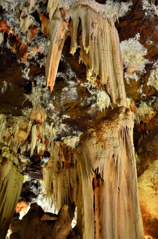CUEVAS DEL CERRO DEL AGUILA-7-2-2015-AVILA - Paseando por España-1991/2016 (23)
