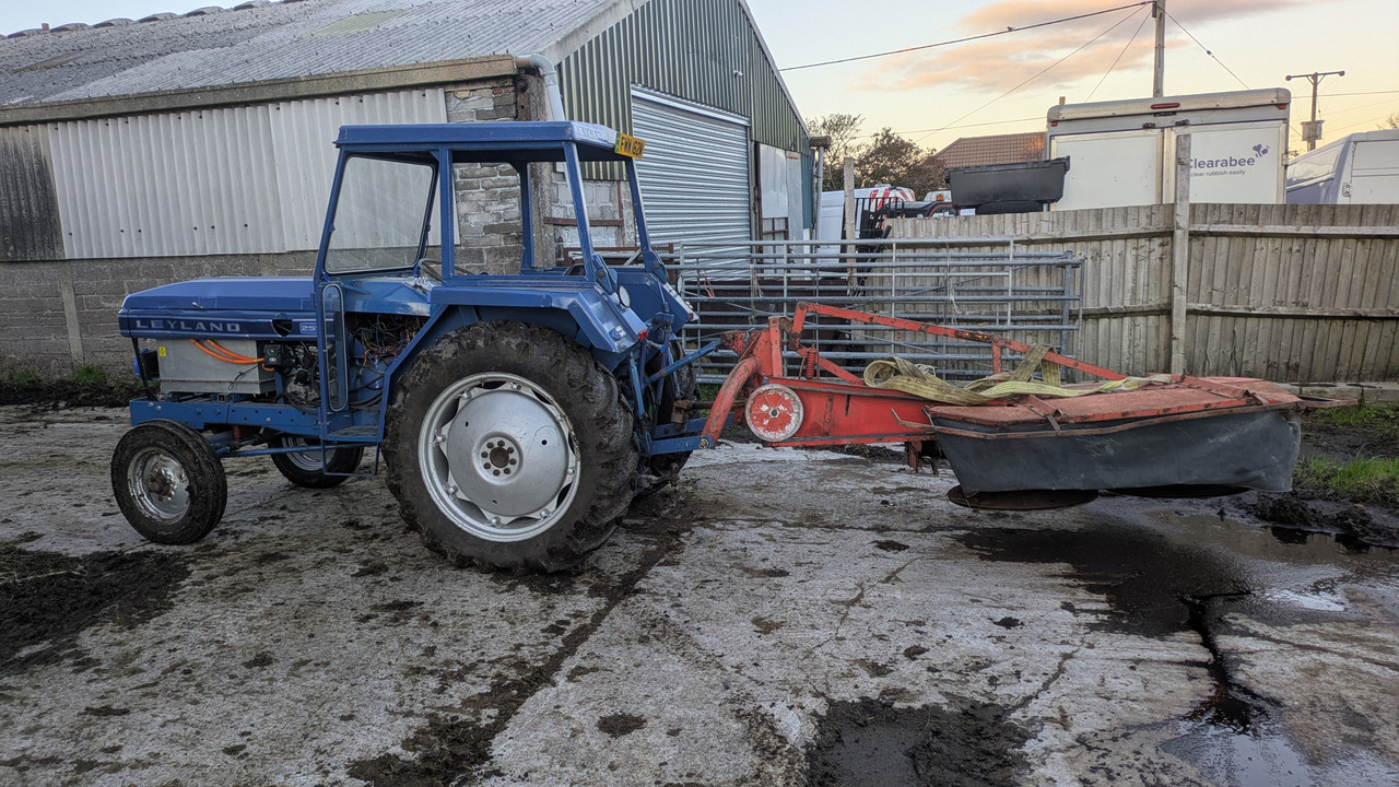 PXL 20251025 163737535 MP (2)