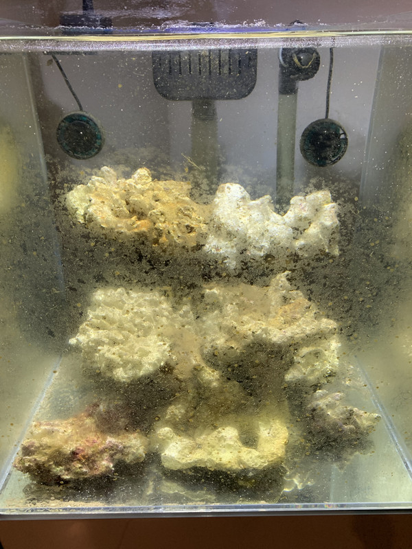 473E19F0-5271-41FD-9073-C2474D7DB991