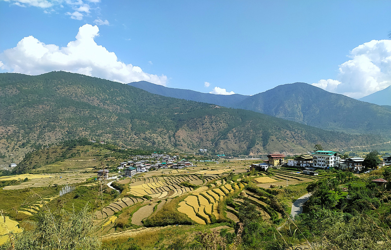 places to see in Punakha bhutan