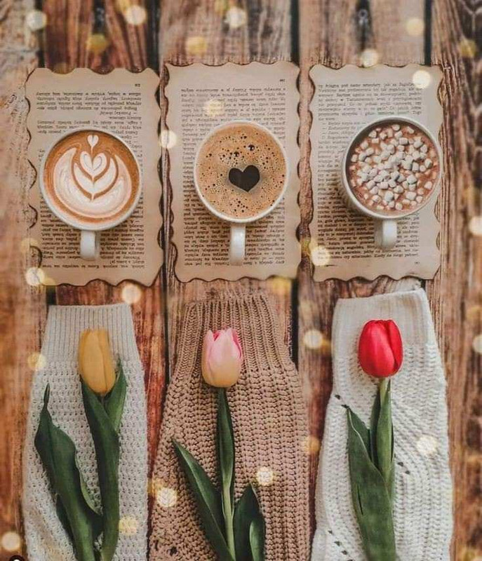 430634307_393768209940991_6797614214477975444_n