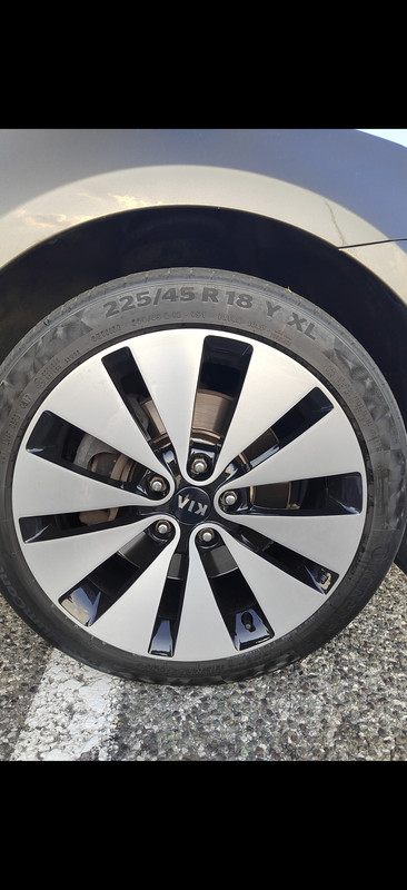 Screenshot 20260228 191409 com hihonor photos Slot Album Activity